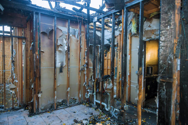 Professional Fire Damage Removal technician working in Troy, AL